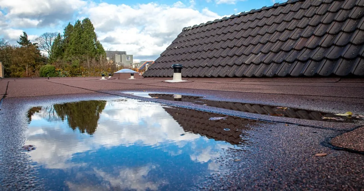 Why is Water Ponding on my Flat Roof?